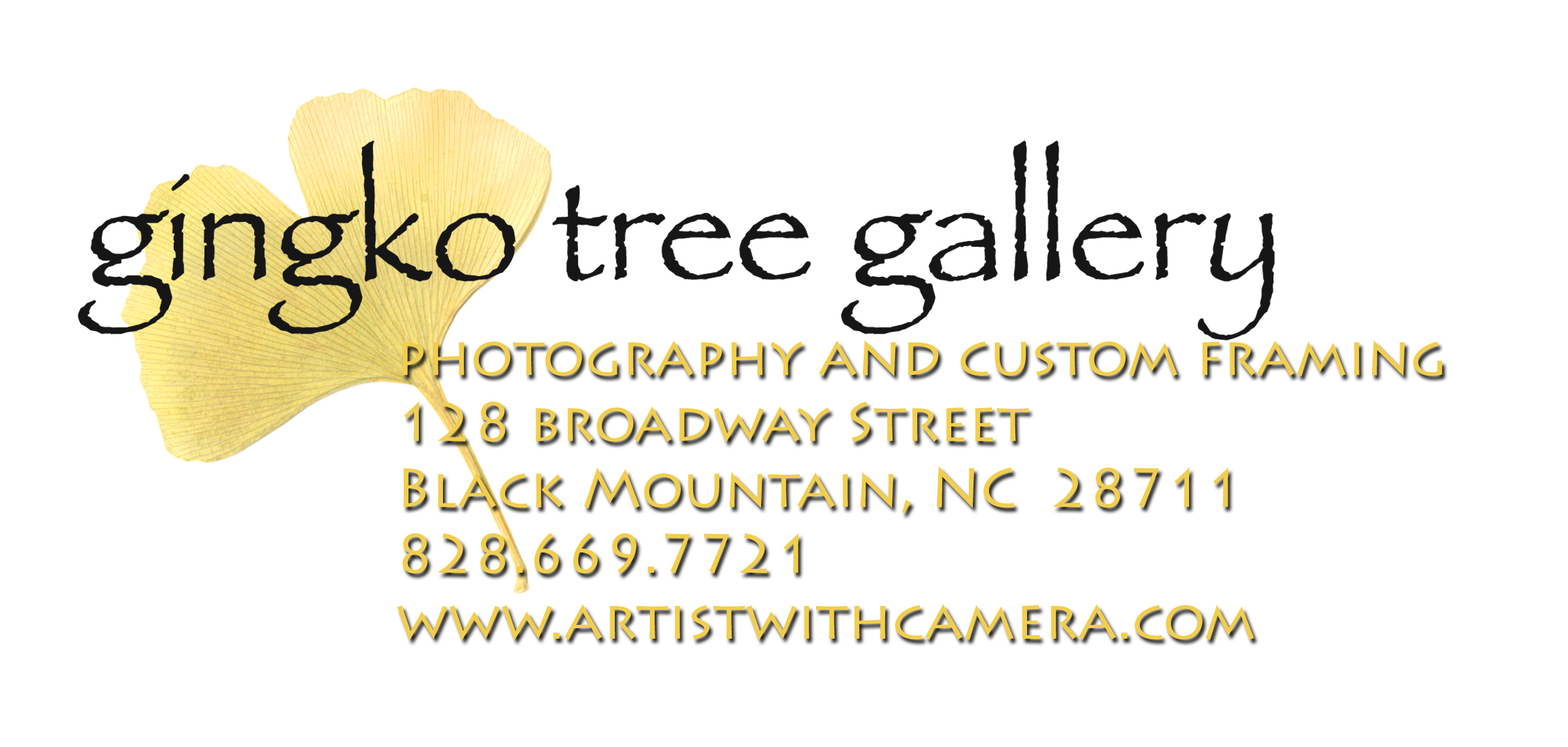 Gingko Tree Logo