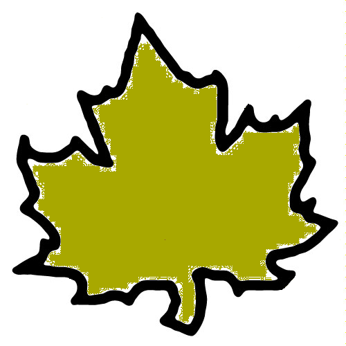 Gold Leaf