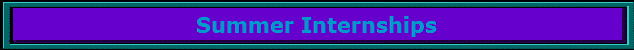 Summer Internships
