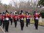 Owen Band