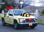 Bumble Bee
