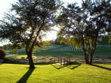 NC's Veteran's Cemetery