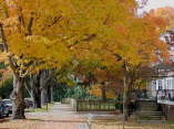 Resident Unit in the Fall