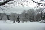 snow7